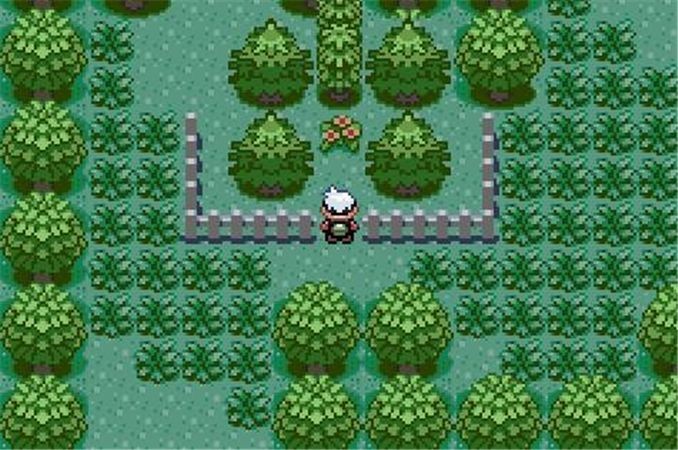 口袋妖怪漆黑的魅影金手指怎么使用