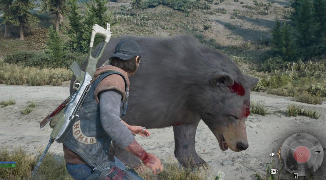 往日不再健康的小狗在哪