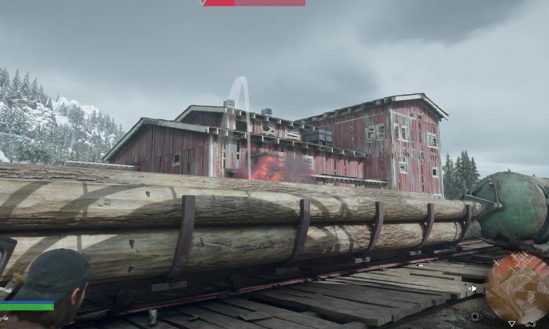 往日不再健康的小狗在哪