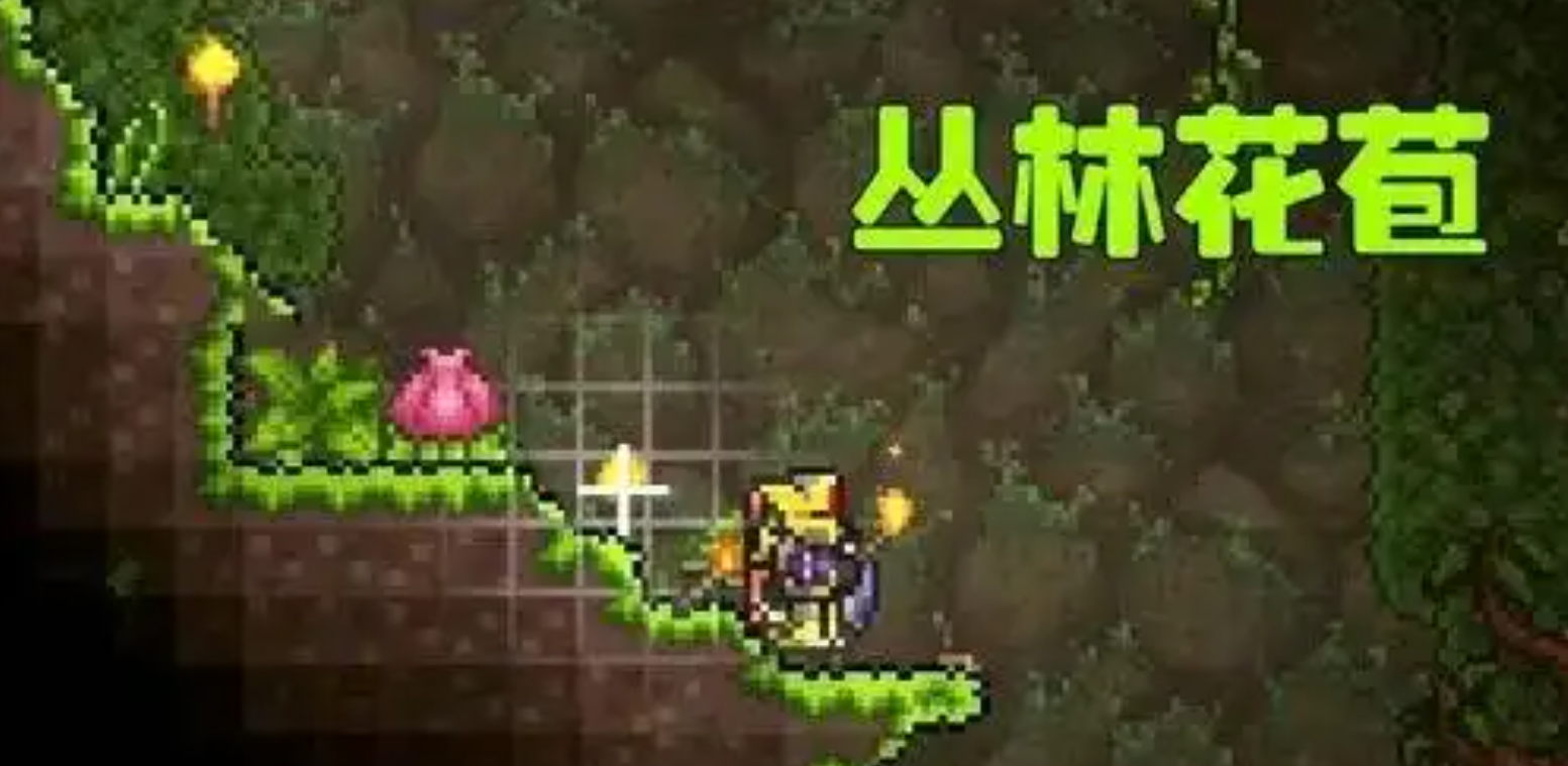 泰拉瑞亚如何把世纪之花引到地面