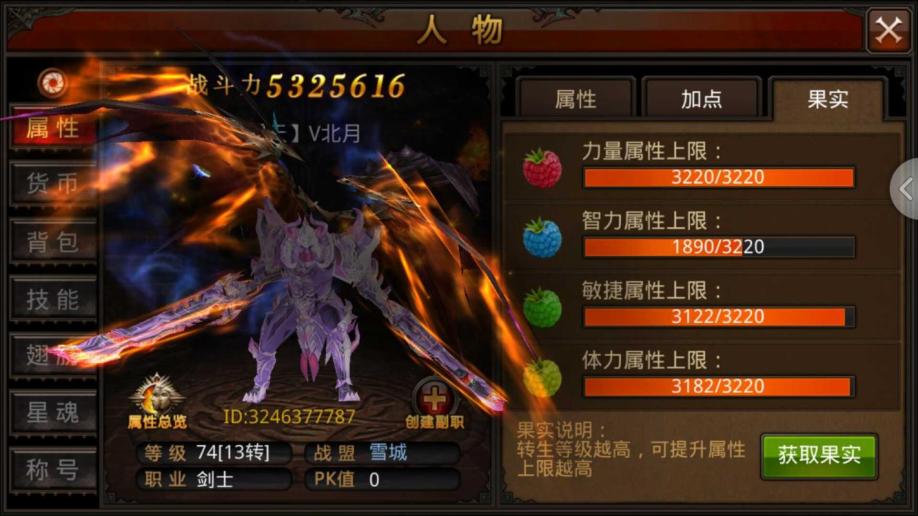 全民奇迹魔剑士需要什么力量