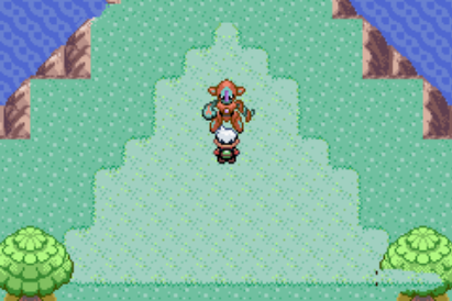 口袋妖怪火红水系道馆在哪