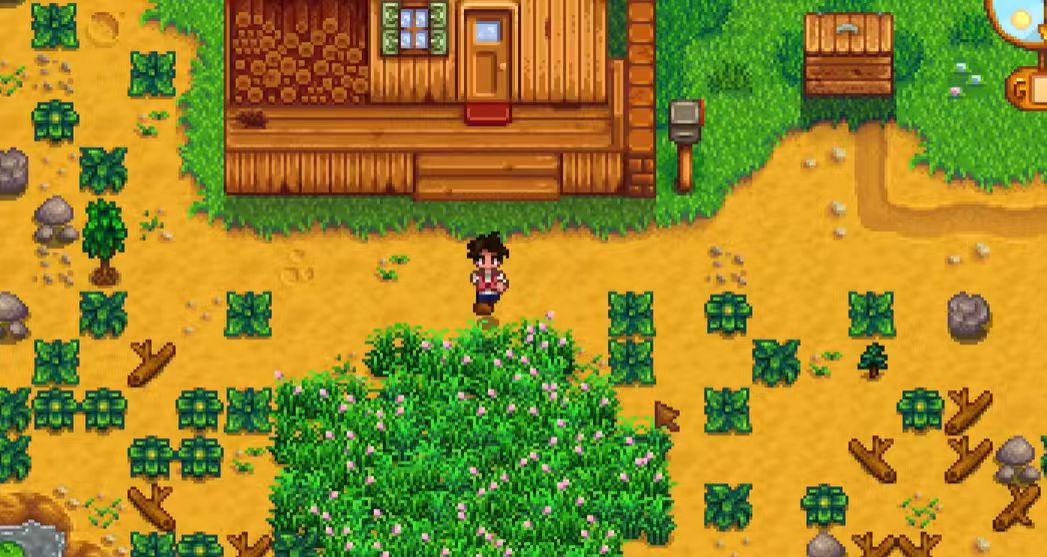 星露谷物语开局怎么玩 星露谷物语开局怎么玩