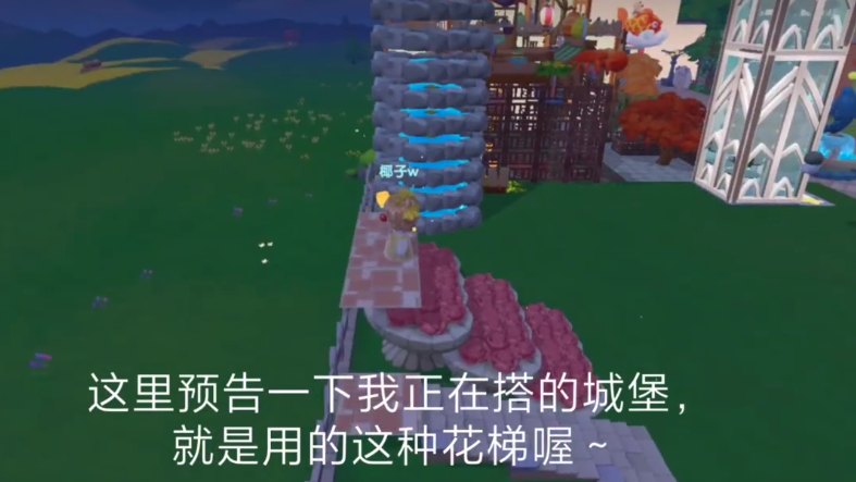 摩尔庄园玫瑰花梯一层怎么上去