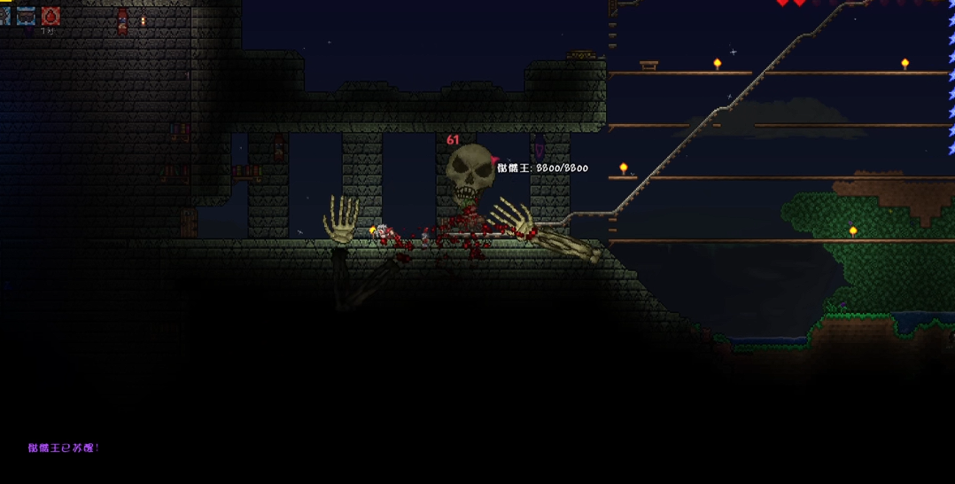 泰拉瑞亚专家骷髅王怎么打 泰拉瑞亚专家骷髅王怎么打