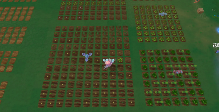 摩尔庄园机器怎么自动浇水