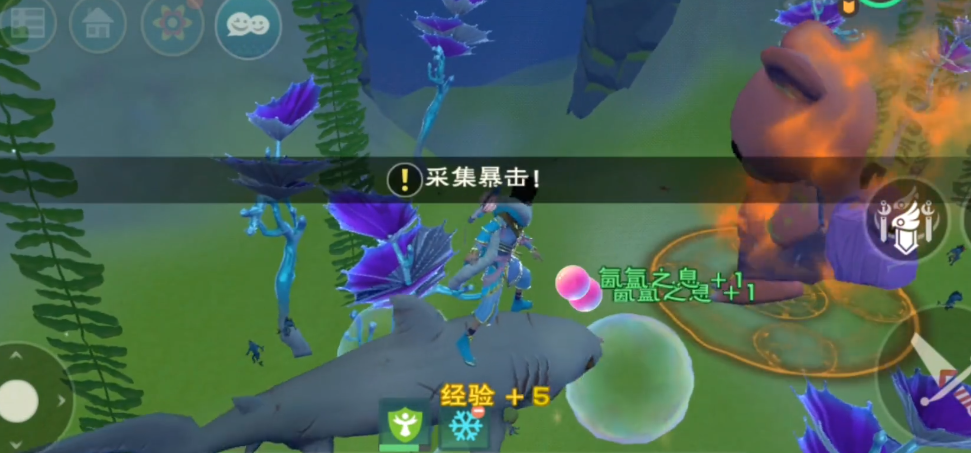 创造与魔法泡泡怎么用 创造与魔法泡泡怎么用