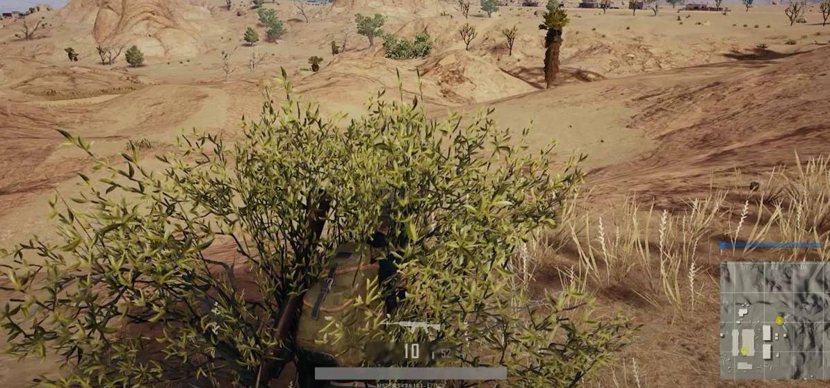 绝地求生半自动步枪有哪些