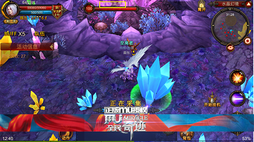 全民奇迹水晶在哪里