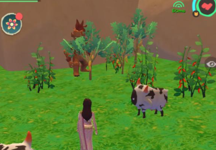 创造与魔法辣椒圈在哪里刷