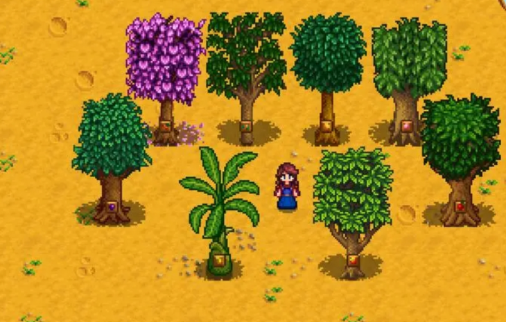 星露谷物语什么树苗好