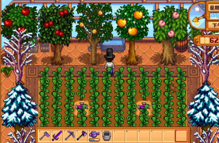 星露谷物语什么树苗好