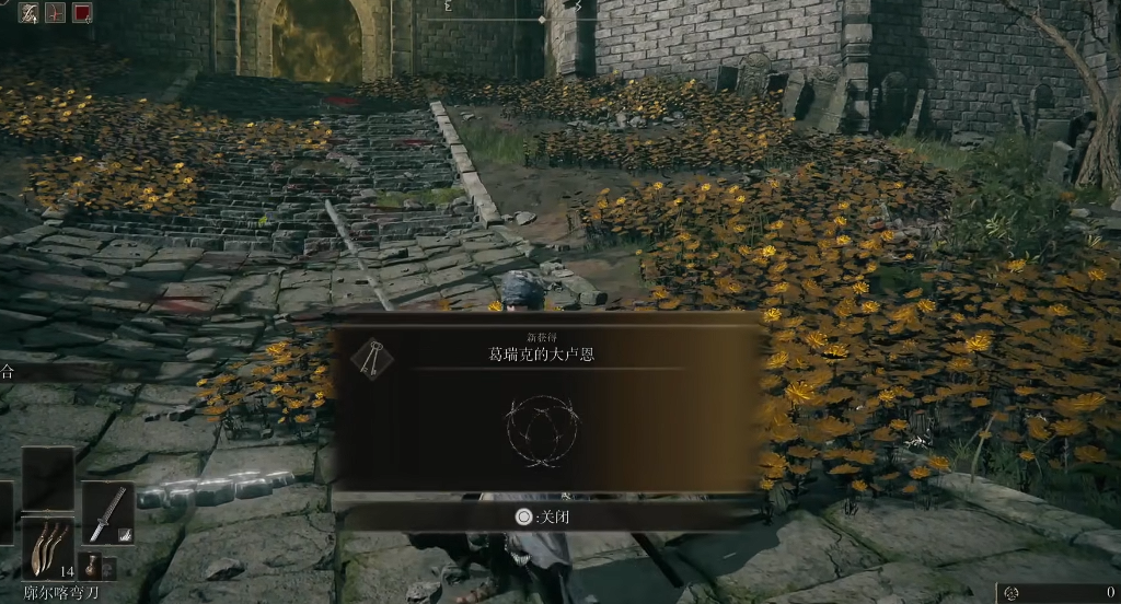 艾尔登法环大卢恩怎么装备