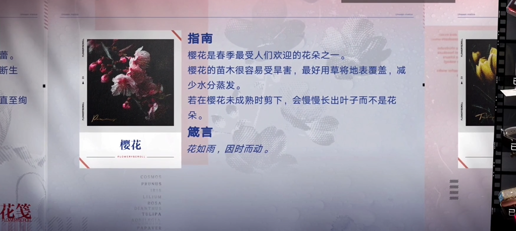 无期迷途花笺焚香在哪里