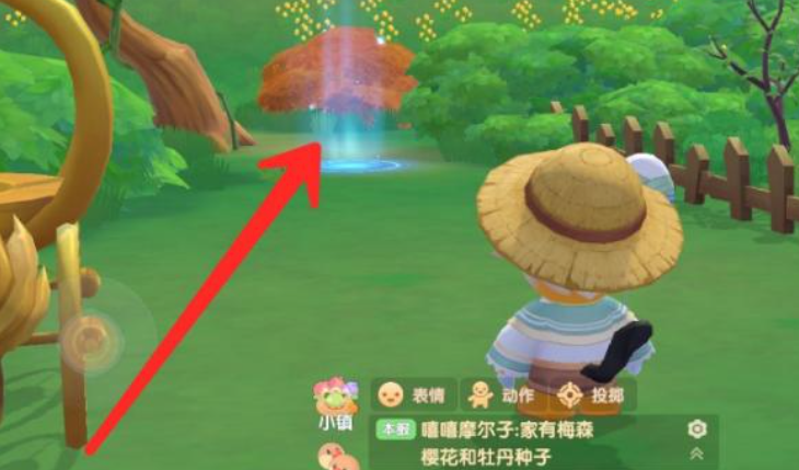 摩尔庄园中伐木林怎么走