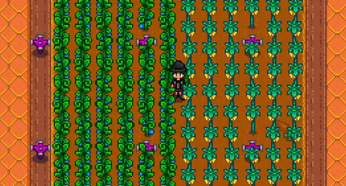 星露谷物语收益最高的作物是什么