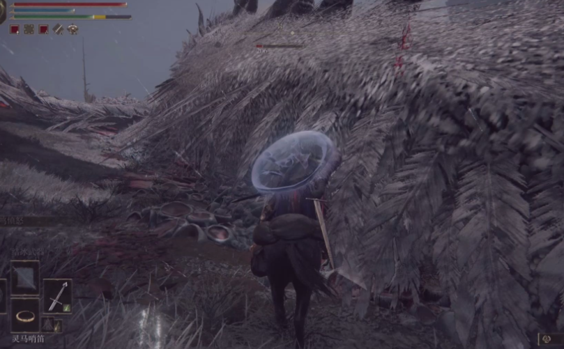 艾尔登法环巨大白龙杀了有什么