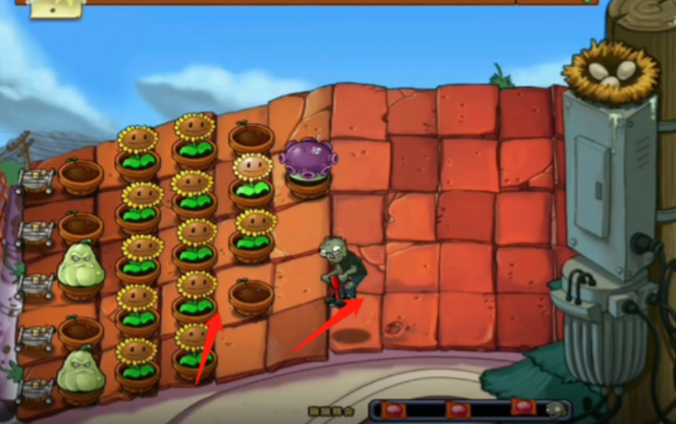 植物大战僵尸2跳跳僵尸怎么打